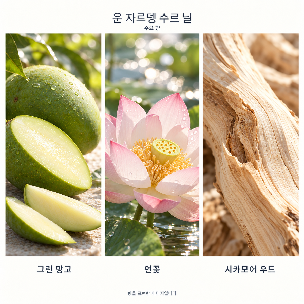 에르메스 운 자르뎅 수르 닐 오 드 뚜왈렛 주요 향: 그린 망고·연꽃·시카모어 우드. 향을 표현한 이미지입니다.