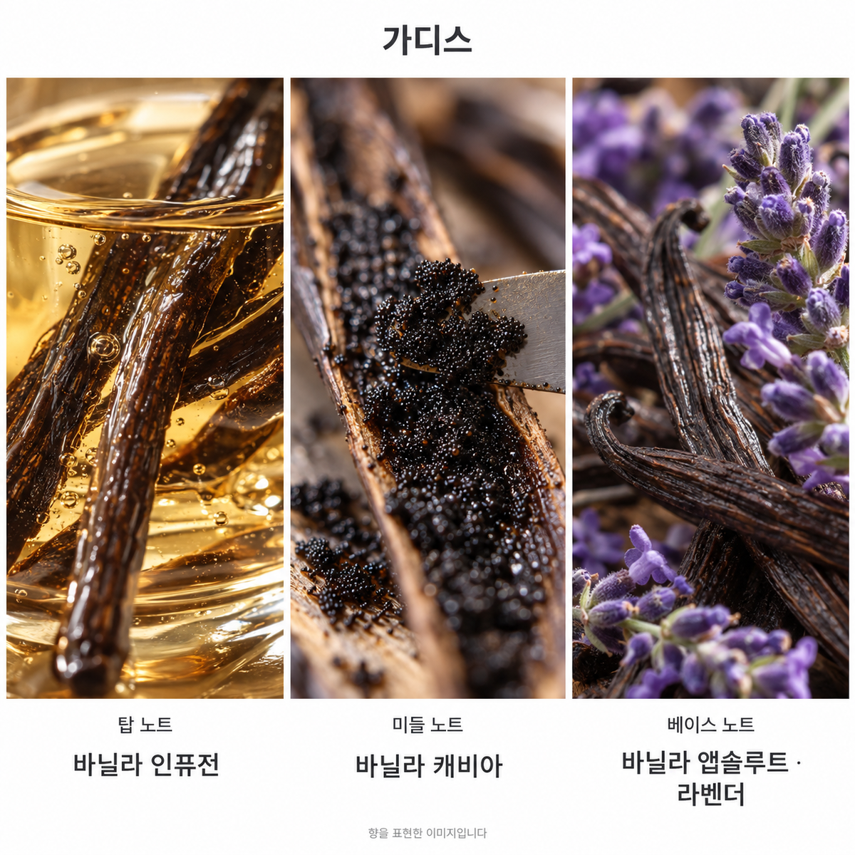 가디스 향 노트: 탑 바닐라 인퓨전, 미들 바닐라 캐비아, 베이스 바닐라 앱솔루트·라벤더. 향을 표현한 이미지입니다.