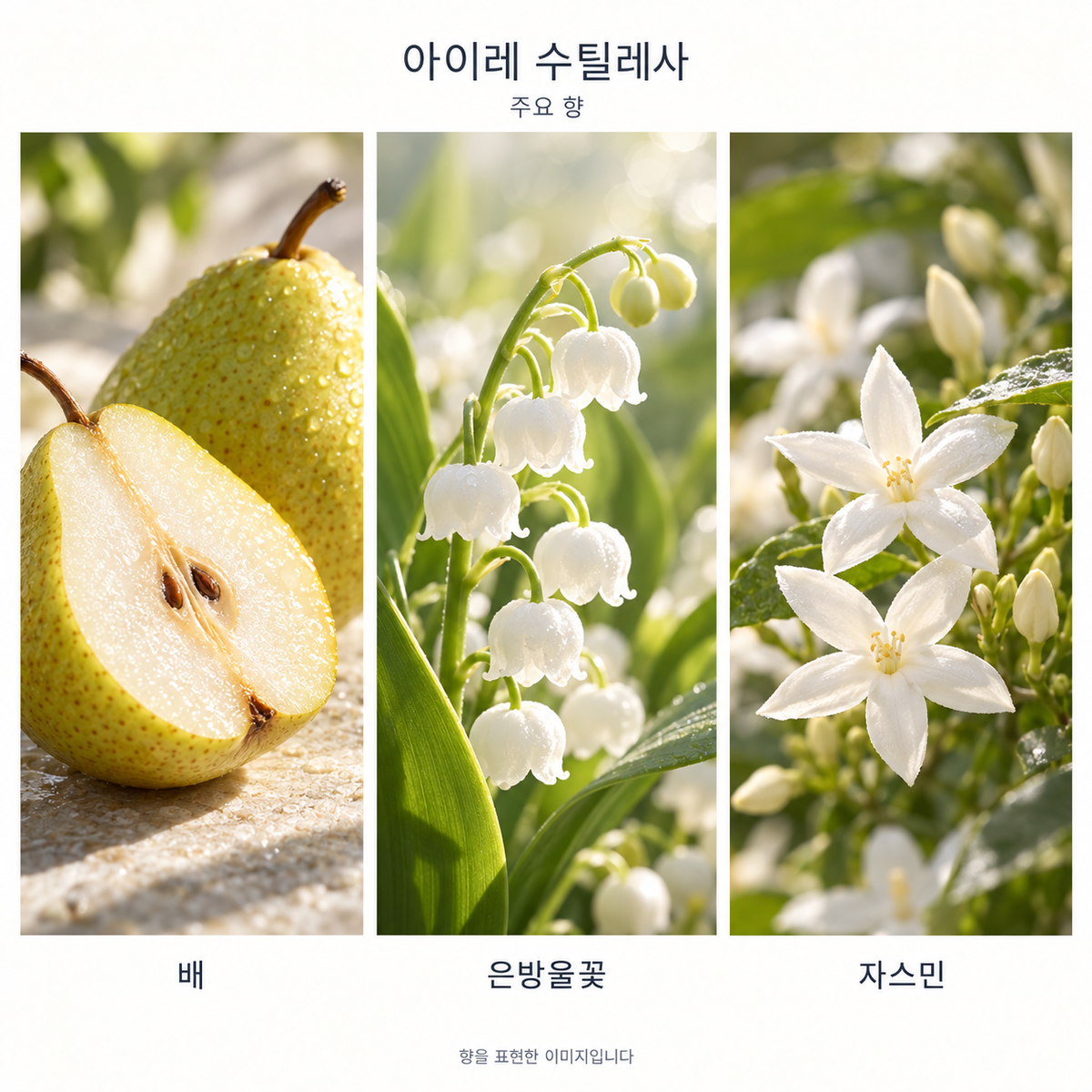 로에베 아이레 수틸레사 오 드 뚜왈렛 주요 향: 배·은방울꽃·자스민. 향을 표현한 이미지입니다.
