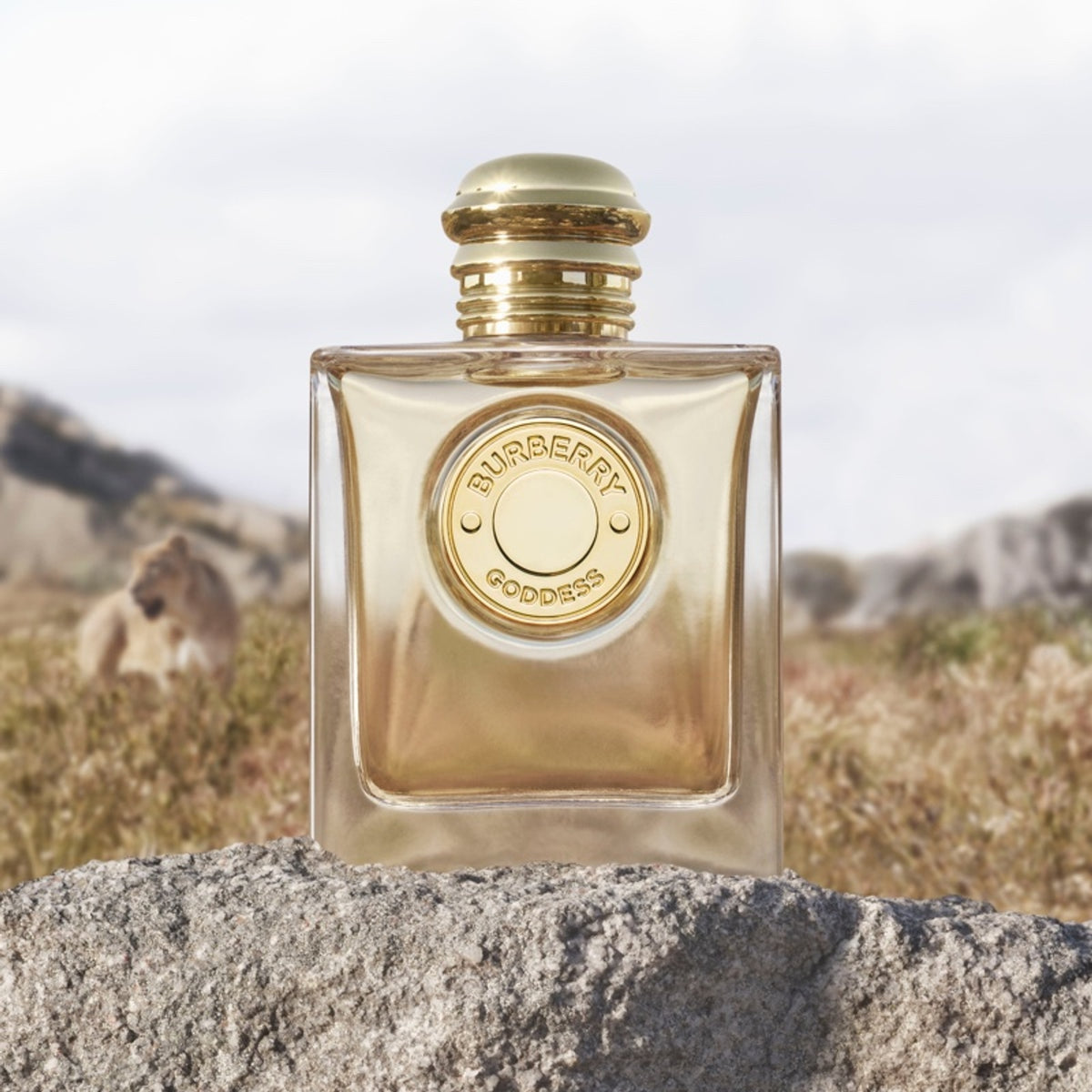 버버리 가디스 오 드 퍼퓸 100ml · 향수 분위기 · c32bfddf0d4d
