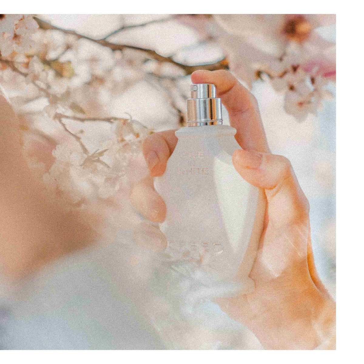 크리드 러브 인 화이트 오 드 퍼퓸 75ml · 향수 분위기 · 0ddf54d630ba