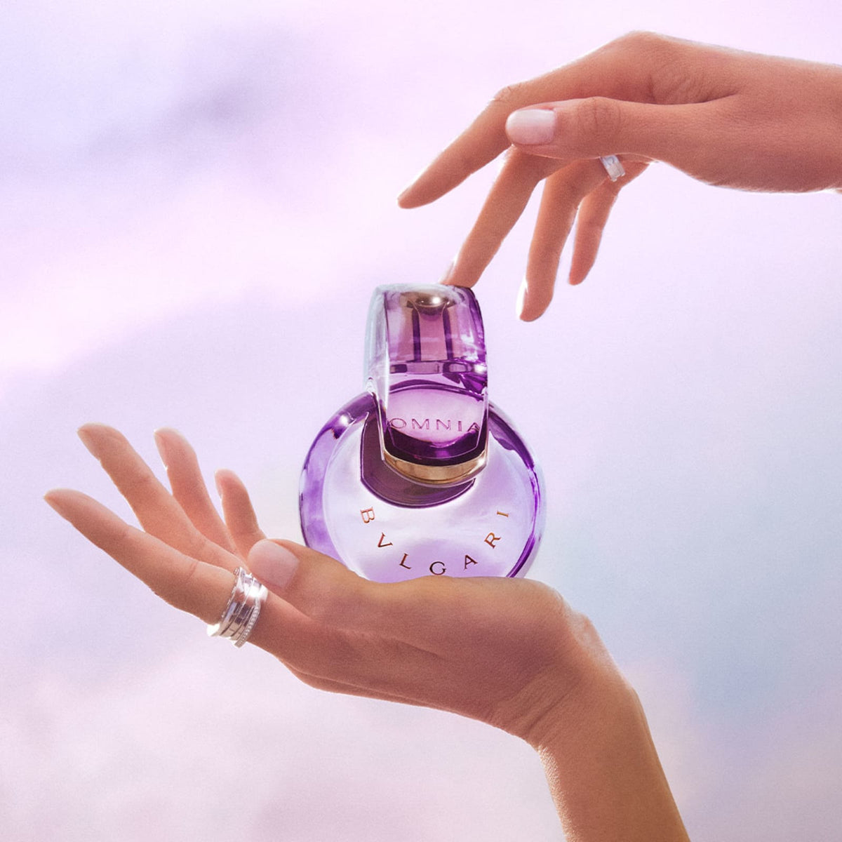 불가리 옴니아 아메시스트 오 드 뚜왈렛 100ml · 향수 분위기