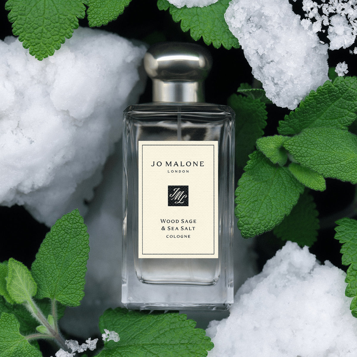 조 말론 런던 우드 세이지 앤 씨 솔트 코롱 100ml · 향수 분위기