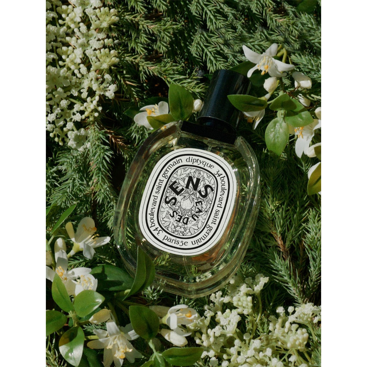 딥티크 오 데 썽 오 드 뚜왈렛 100ml · 향수 분위기 · e789b87127dd