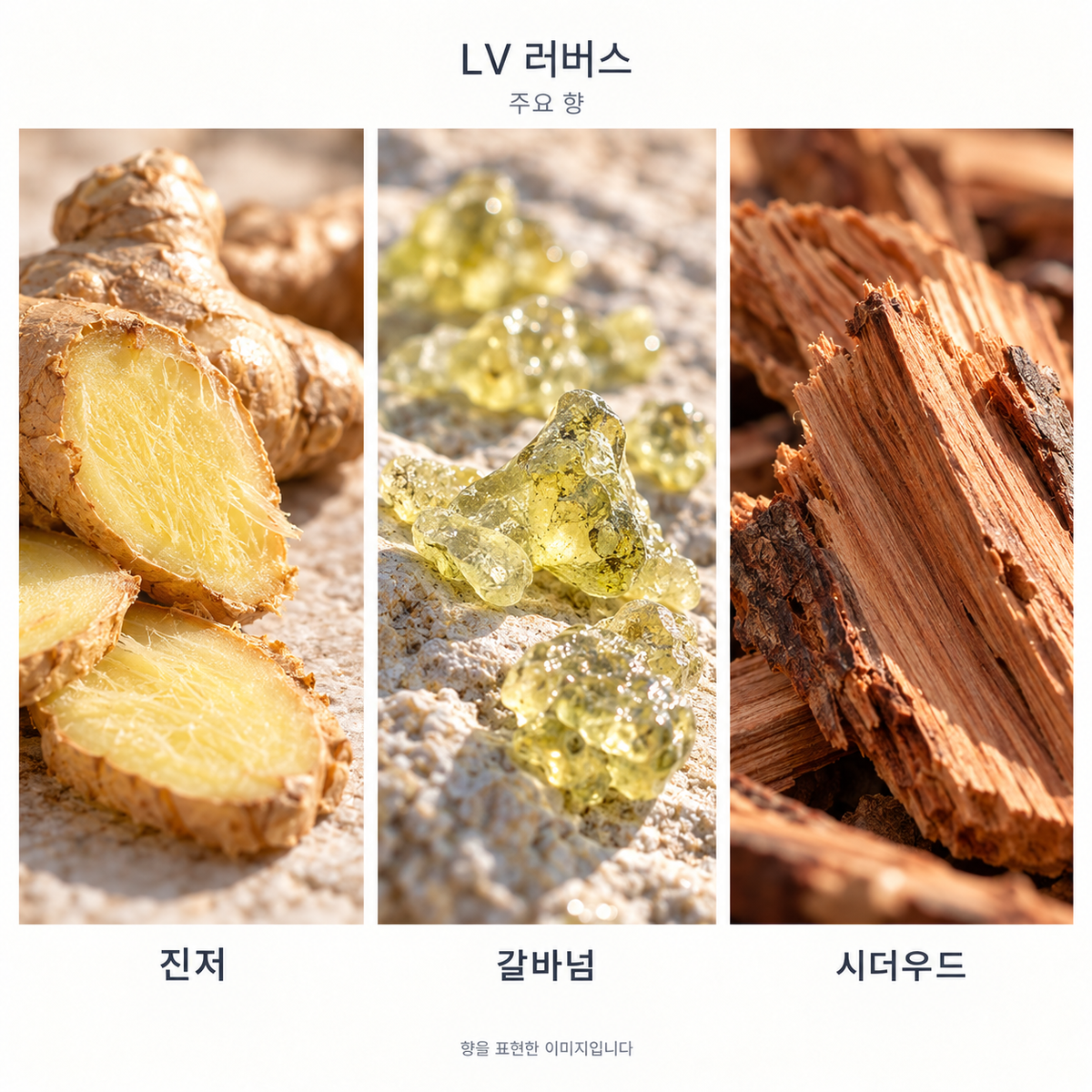 루이비통 LV 러버스 오 드 퍼퓸 주요 향: 진저·갈바넘·시더우드. 향을 표현한 이미지입니다.