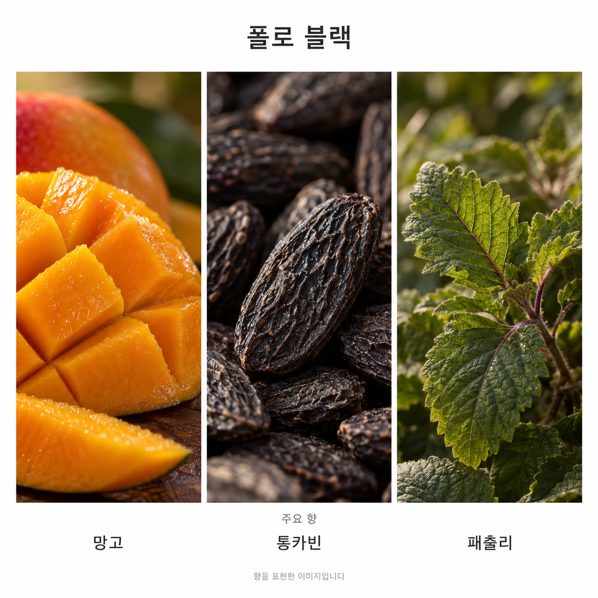 랄프 로렌 폴로 블랙 오 드 뚜왈렛 125ml 주요 향: 망고·통카빈·패출리. 향을 표현한 이미지입니다.