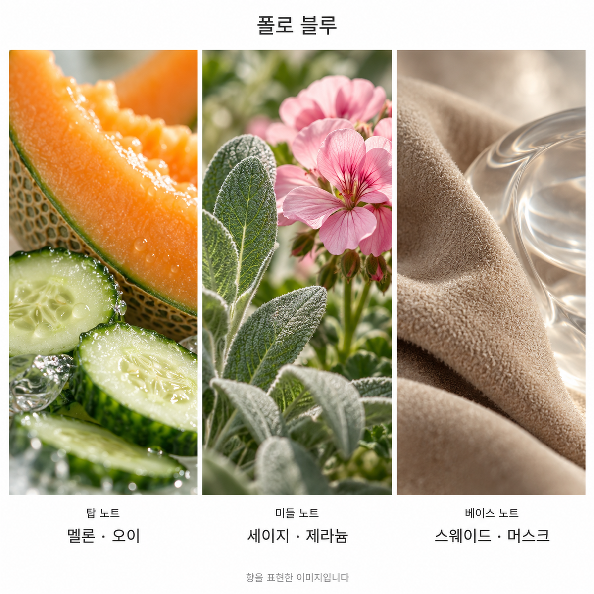 랄프 로렌 폴로 블루 오 드 뚜왈렛 125ml 향기 노트: 탑 멜론·오이, 미들 세이지·제라늄, 베이스 스웨이드·머스크. 향을 표현한 이미지입니다.