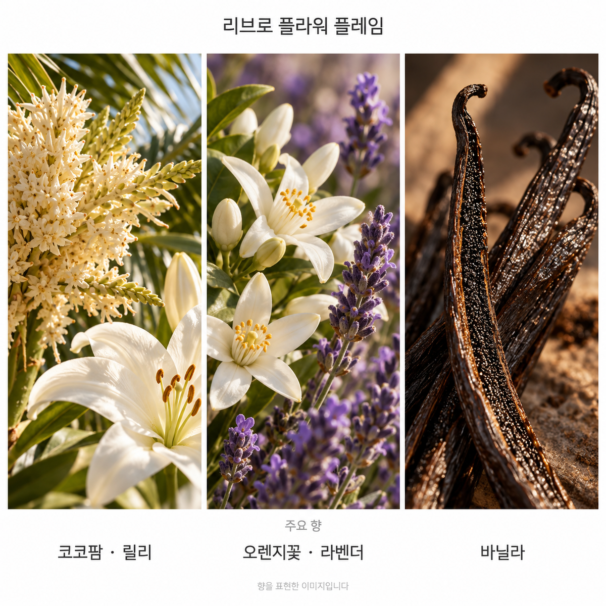 입생로랑 리브르 플라워 플레임 오 드 퍼퓸 90ml 주요 향: 코코팜·릴리, 오렌지꽃·라벤더, 바닐라. 향을 표현한 이미지입니다.