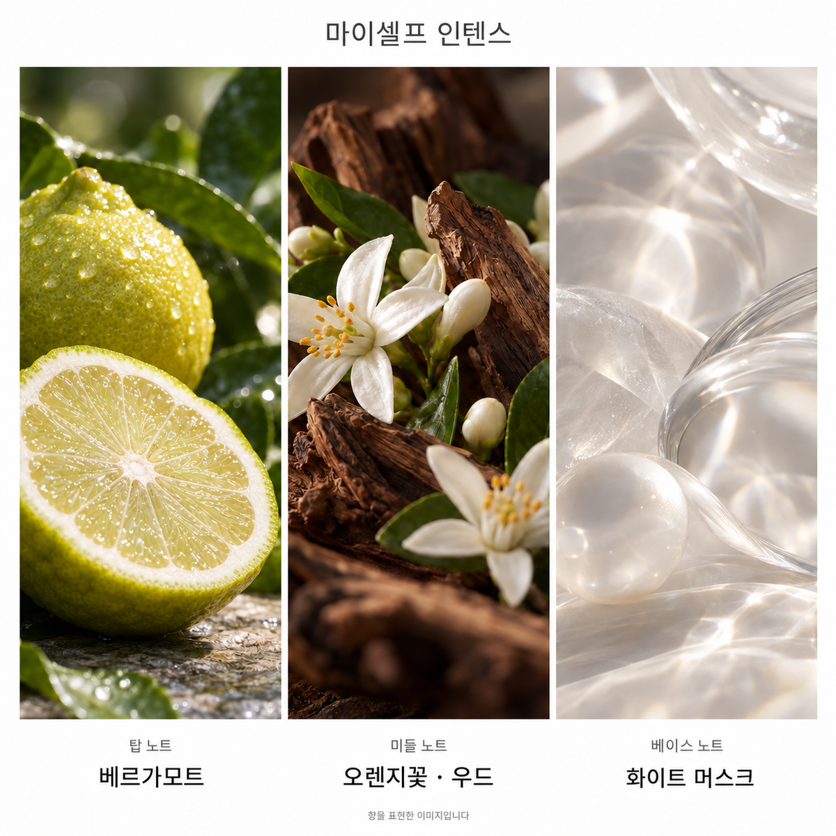 입생로랑 마이셀프 오 드 뚜왈렛 인텐스 100ml 향기 노트: 탑 베르가모트, 미들 오렌지꽃·우드, 베이스 화이트 머스크. 향을 표현한 이미지입니다.