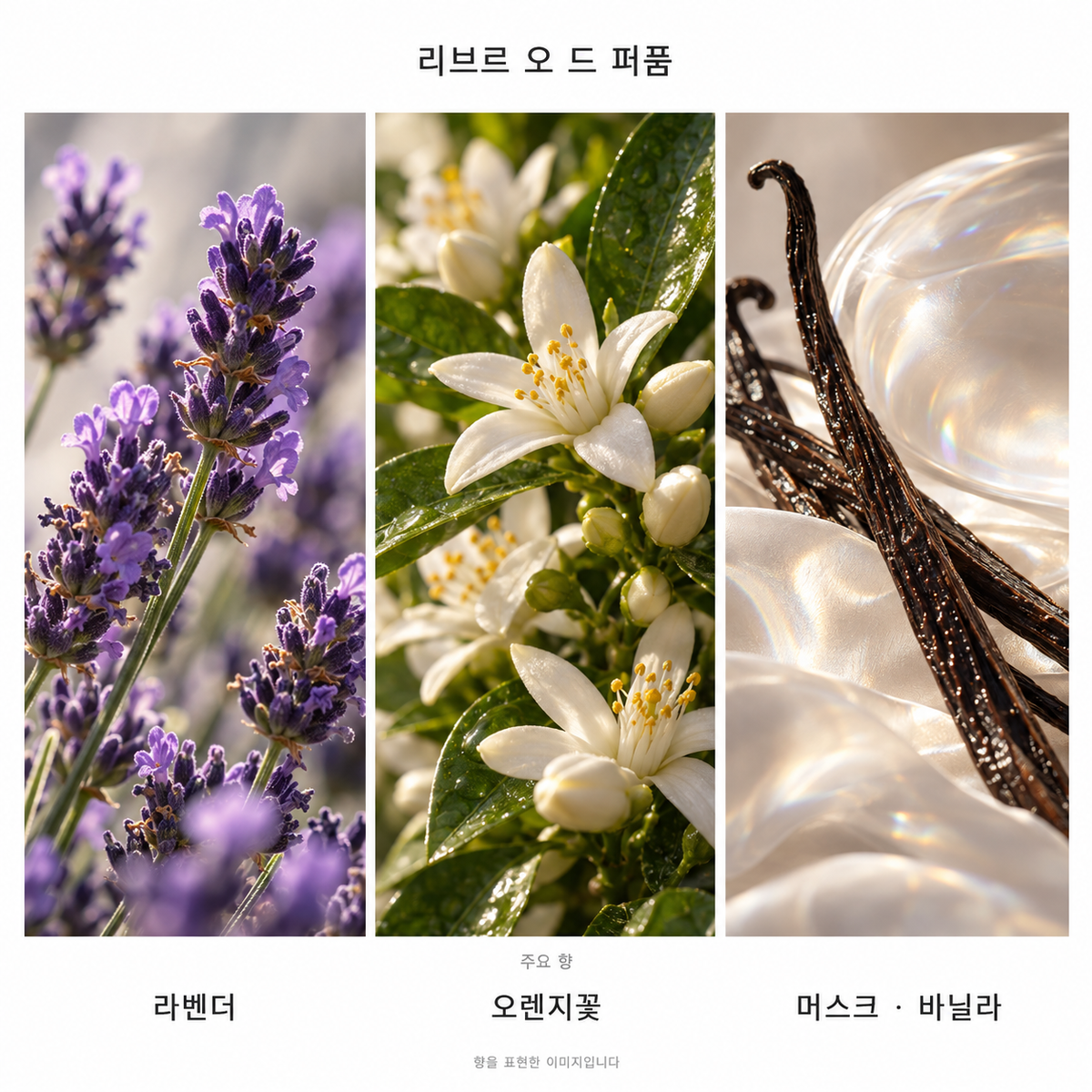 입생로랑 리브르 오 드 퍼퓸 90ml 주요 향: 라벤더, 오렌지꽃, 머스크·바닐라. 향을 표현한 이미지입니다.