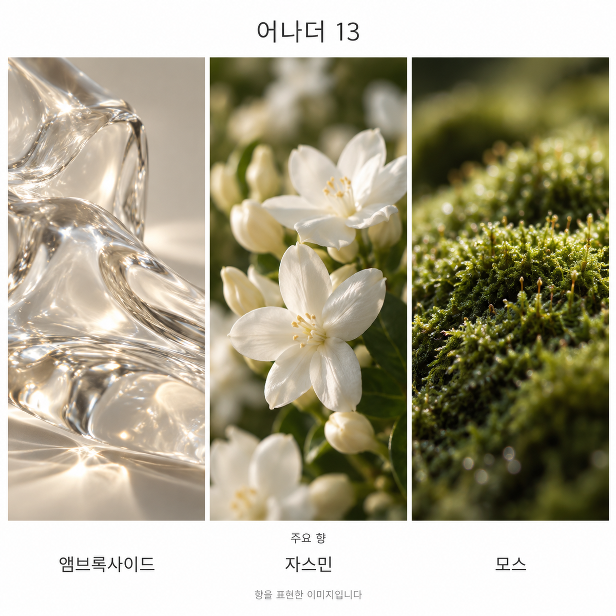 르 라보 어나더 13 오 드 퍼퓸 주요 향: 앰브록사이드·자스민·모스. 향을 표현한 이미지입니다.