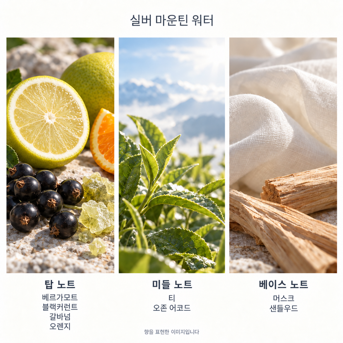 실버 마운틴 워터 향 노트: 탑 베르가모트·블랙커런트·갈바넘·오렌지, 미들 티·오존 어코드, 베이스 머스크·샌들우드. 향을 표현한 이미지입니다.