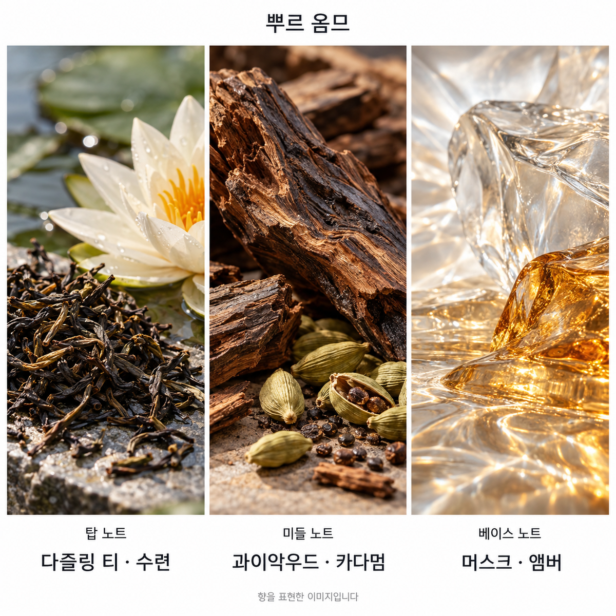 뿌르 옴므 향 노트: 탑 다즐링 티 · 수련, 미들 과이악우드 · 카다멈, 베이스 머스크 · 앰버. 향을 표현한 이미지입니다.