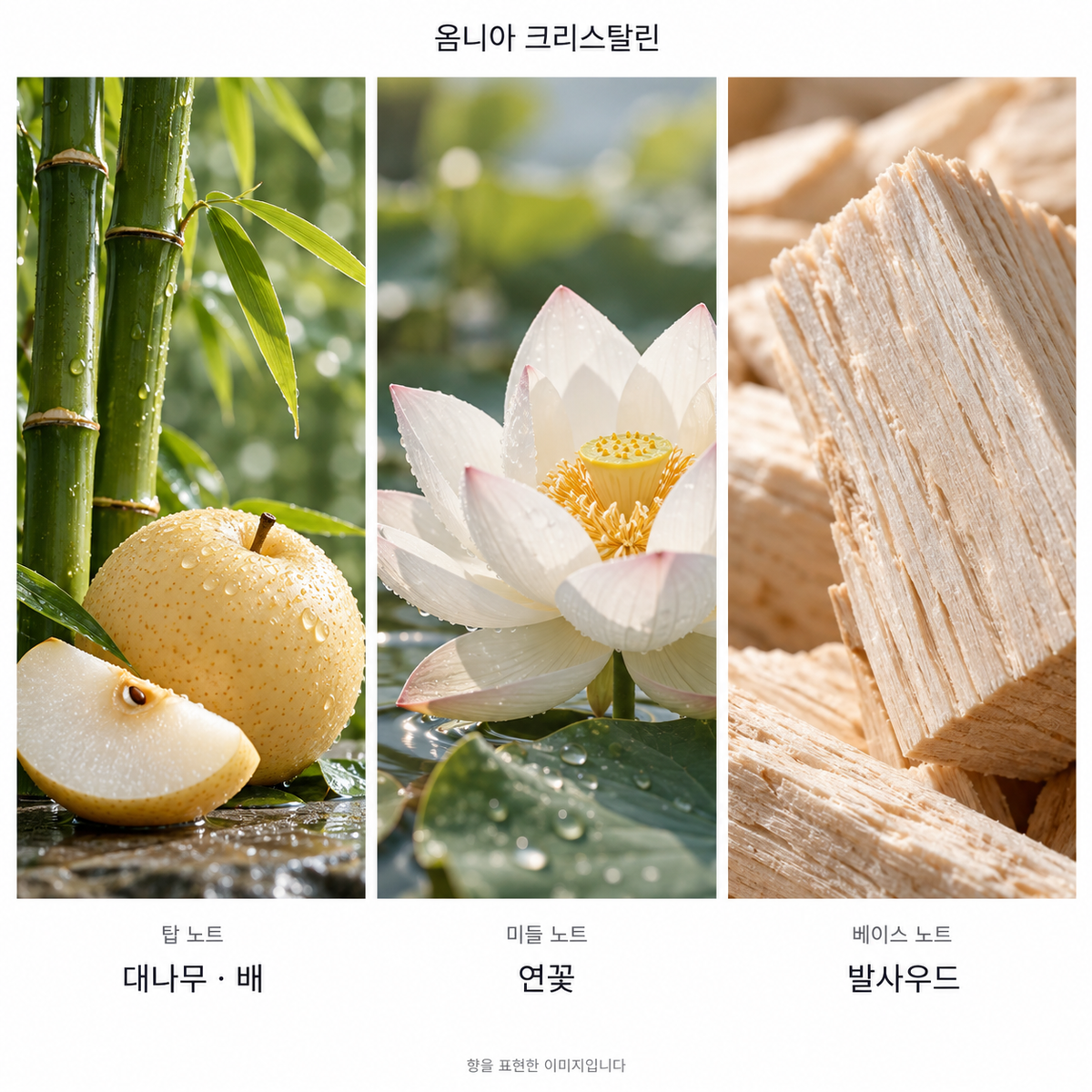 옴니아 크리스탈린 향 노트: 탑 대나무 · 배, 미들 연꽃, 베이스 발사우드. 향을 표현한 이미지입니다.