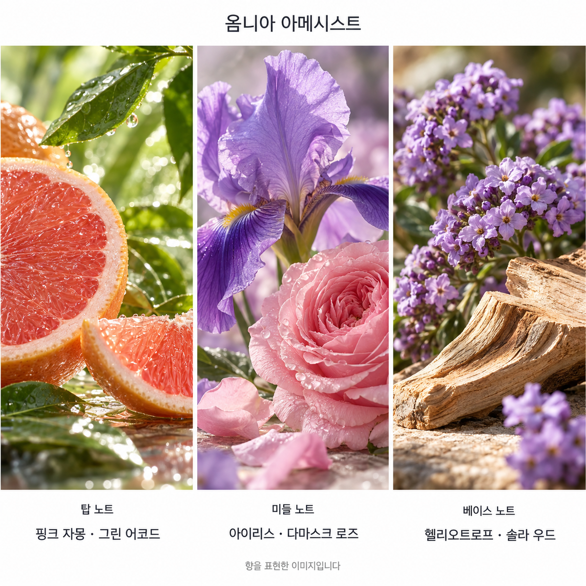 옴니아 아메시스트 향 노트: 탑 핑크 자몽 · 그린 어코드, 미들 아이리스 · 다마스크 로즈, 베이스 헬리오트로프 · 솔라 우드. 향을 표현한 이미지입니다.