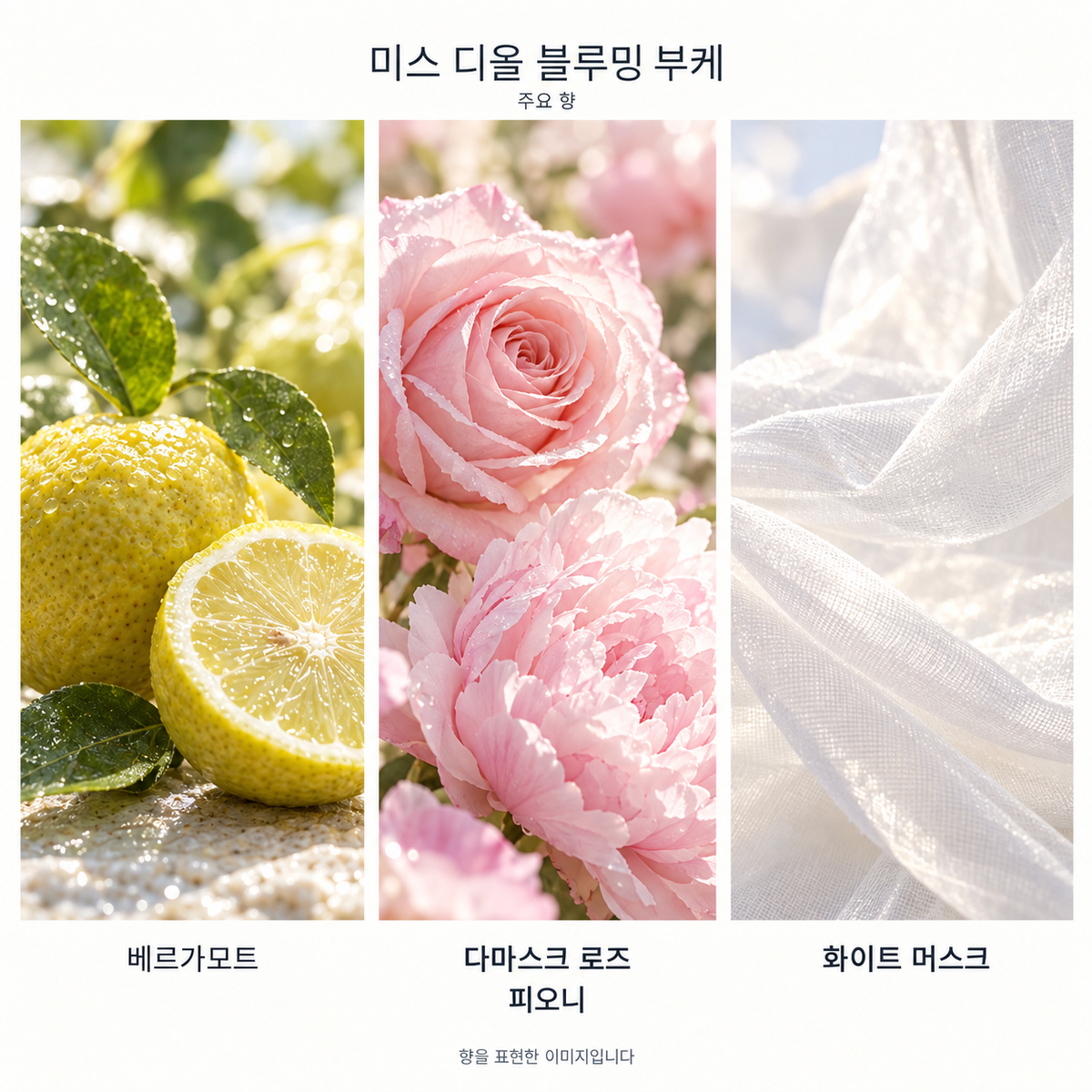 디올 미스 디올 블루밍 부케 오 드 뚜왈렛 100ml 주요 향: 베르가모트, 다마스크 로즈·피오니, 화이트 머스크. 향을 표현한 이미지입니다.