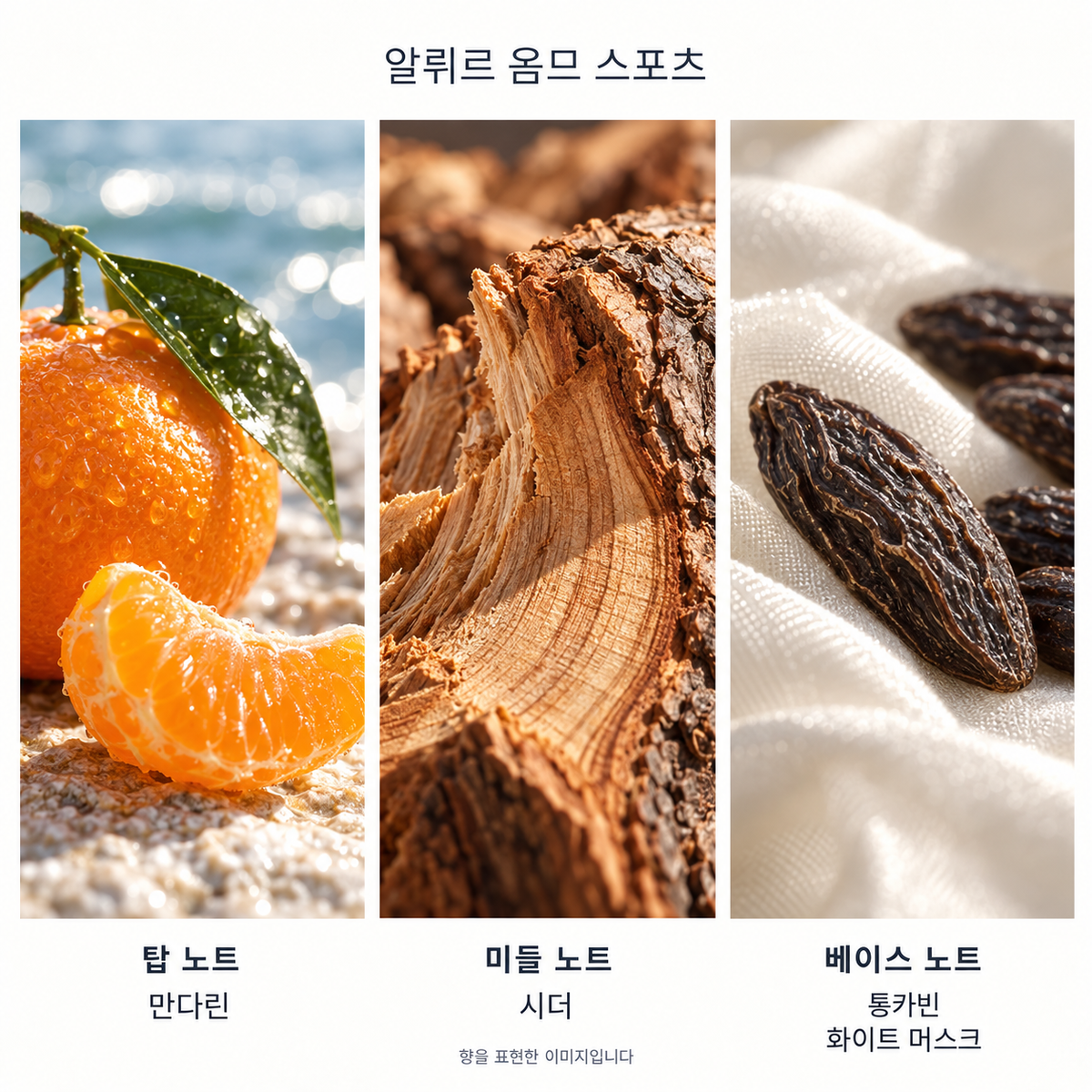 알뤼르 옴므 스포츠 향 노트: 탑 만다린, 미들 시더, 베이스 통카빈·화이트 머스크. 향을 표현한 이미지입니다.