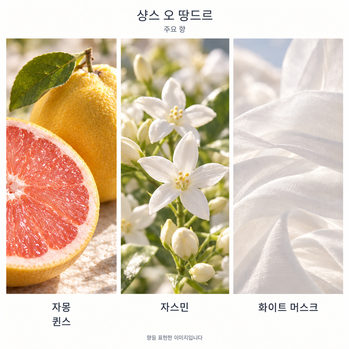 샤넬 샹스 오 땅드르 오 드 뚜왈렛 100ml 주요 향: 자몽·퀸스, 자스민, 화이트 머스크. 향을 표현한 이미지입니다.