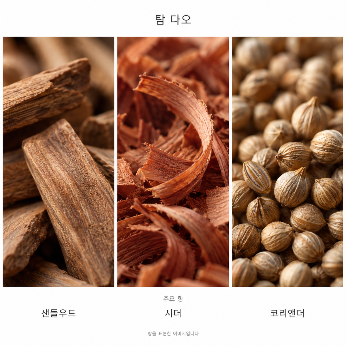 딥티크 탐 다오 오 드 퍼퓸 주요 향: 샌들우드·시더·코리앤더. 향을 표현한 이미지입니다.