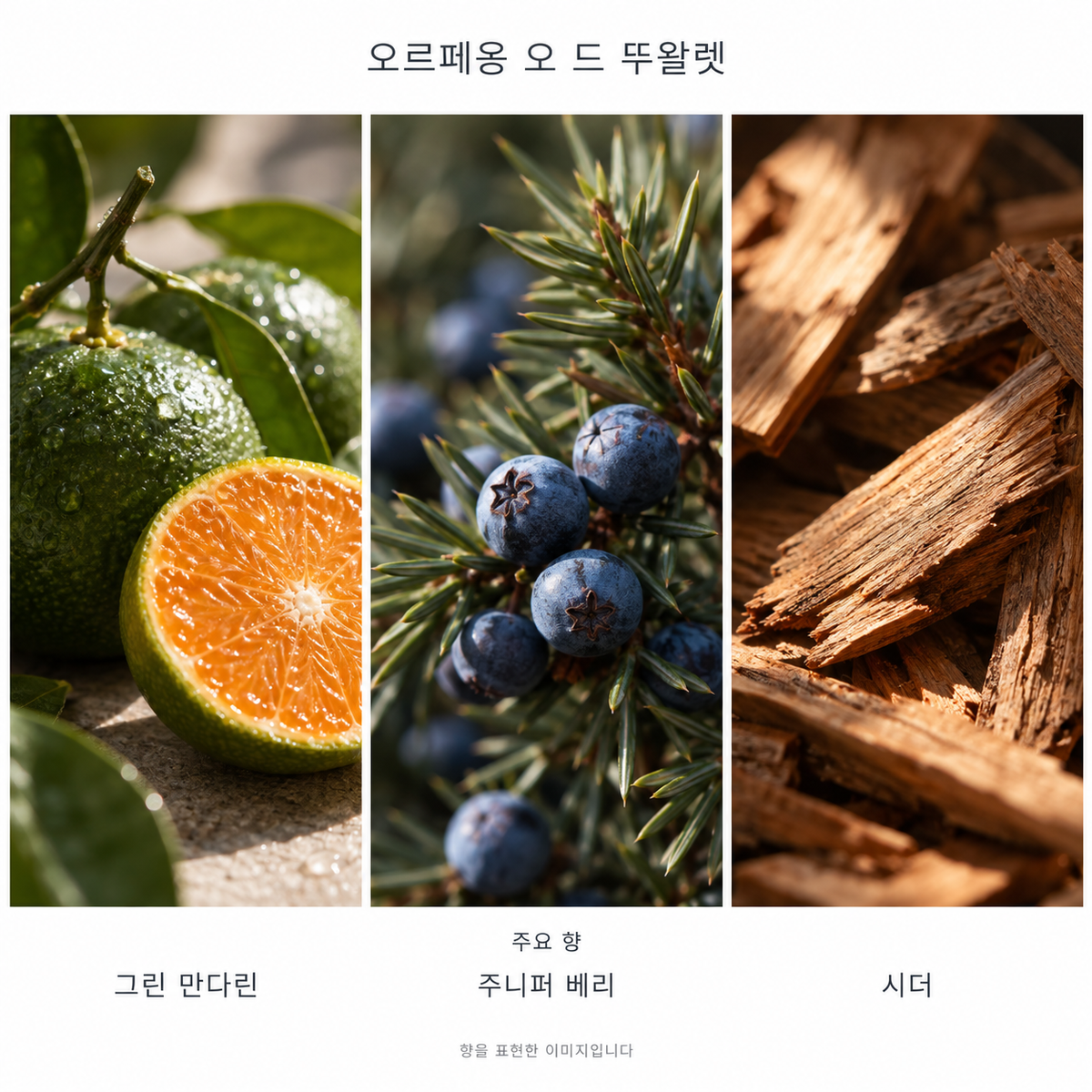 딥티크 오르페옹 오 드 뚜왈렛 주요 향: 그린 만다린·주니퍼 베리·시더. 향을 표현한 이미지입니다.