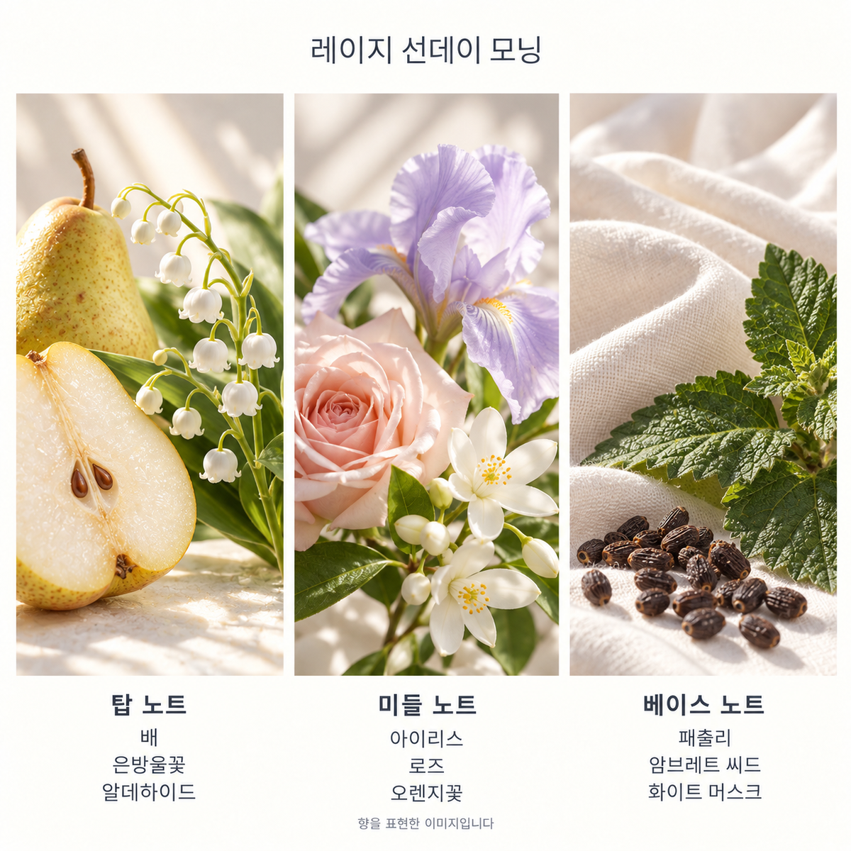 레이지 선데이 모닝 향 노트: 탑 배·은방울꽃·알데하이드, 미들 아이리스·로즈·오렌지꽃, 베이스 패출리·암브레트 씨드·화이트 머스크. 향을 표현한 이미지입니다.