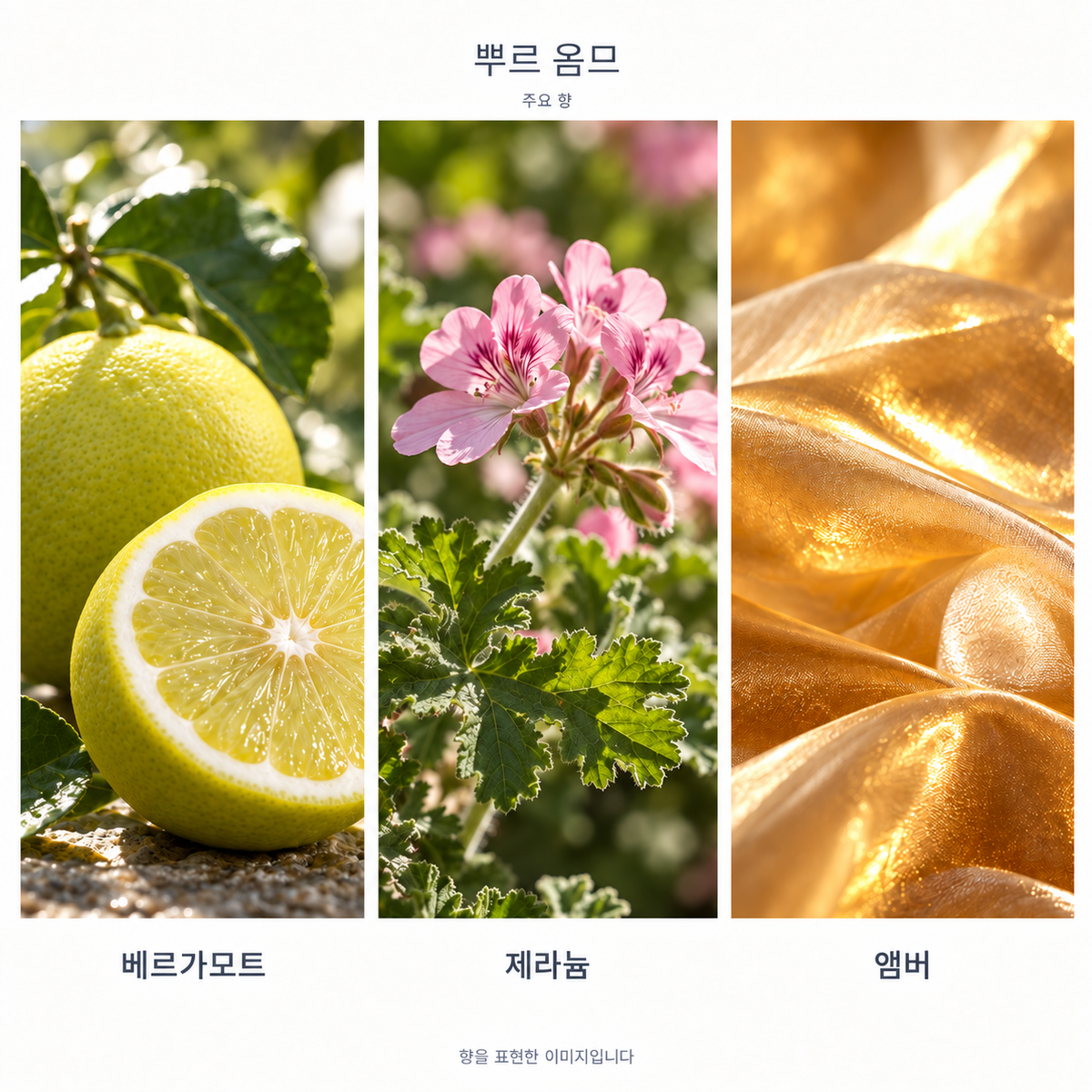 베르사체 뿌르 옴므 오 드 뚜왈렛 주요 향: 베르가모트·제라늄·앰버. 향을 표현한 이미지입니다.