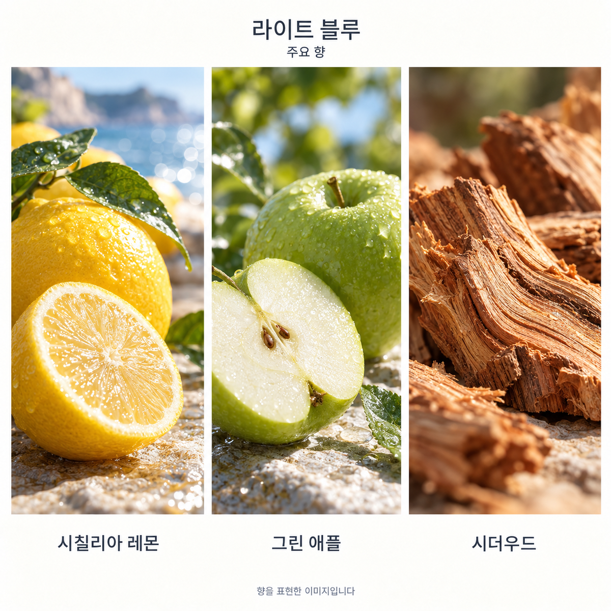 돌체앤가바나 라이트 블루 오 드 뚜왈렛 주요 향: 시칠리아 레몬·그린 애플·시더우드. 향을 표현한 이미지입니다.