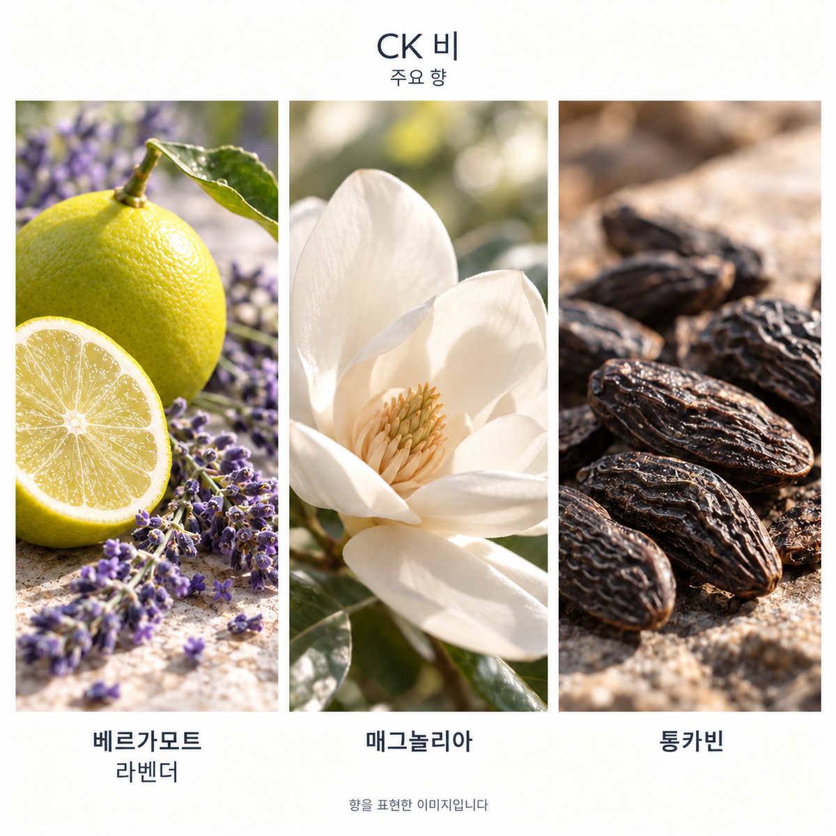 캘빈클라인 CK 비 오 드 뚜왈렛 주요 향: 베르가모트·라벤더·매그놀리아·통카빈. 향을 표현한 이미지입니다.