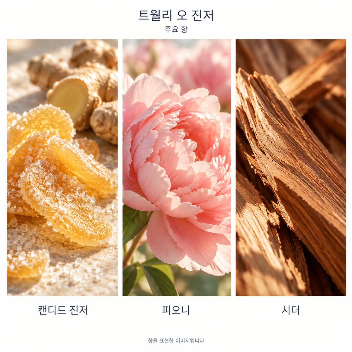 에르메스 트윌리 오 진저 오 드 퍼퓸 주요 향: 캔디드 진저·피오니·시더. 향을 표현한 이미지입니다.
