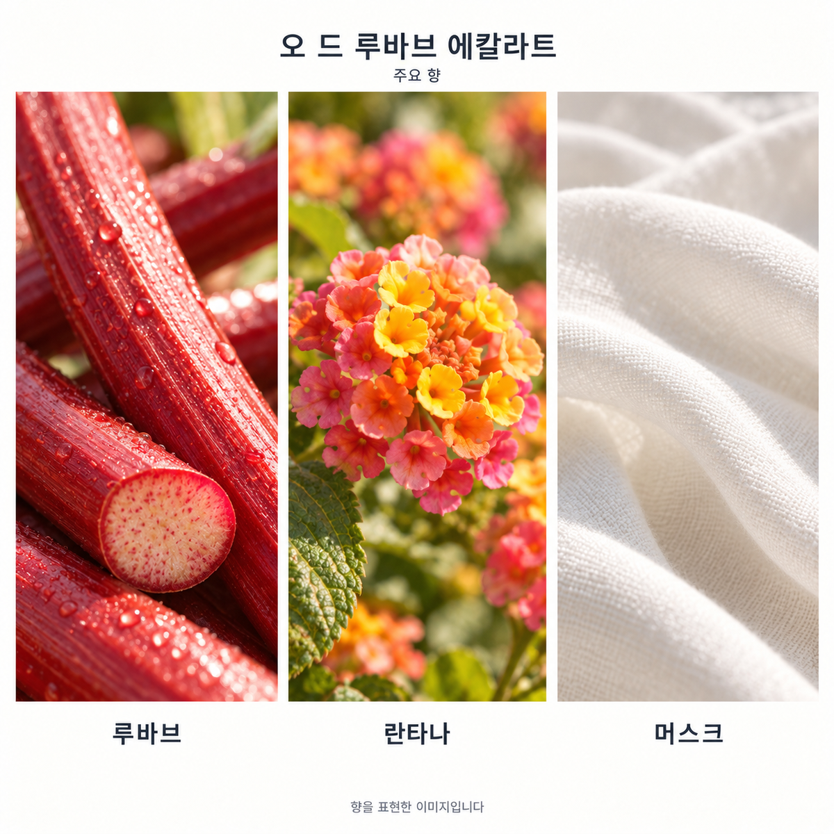 에르메스 오 드 루바브 에칼라트 코롱 주요 향: 루바브·란타나·머스크. 향을 표현한 이미지입니다.
