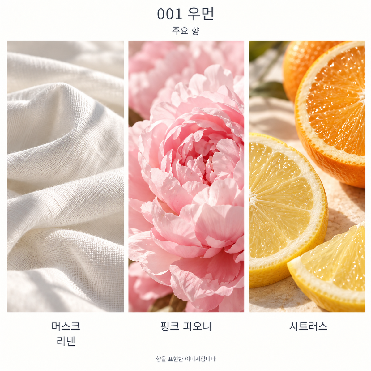 로에베 001 우먼 오 드 뚜왈렛 주요 향: 머스크·리넨·핑크 피오니·시트러스. 향을 표현한 이미지입니다.