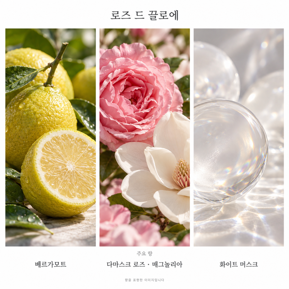 끌로에 로즈 드 끌로에 오 드 뚜왈렛 주요 향: 베르가모트·다마스크 로즈·매그놀리아·화이트 머스크. 향을 표현한 이미지입니다.