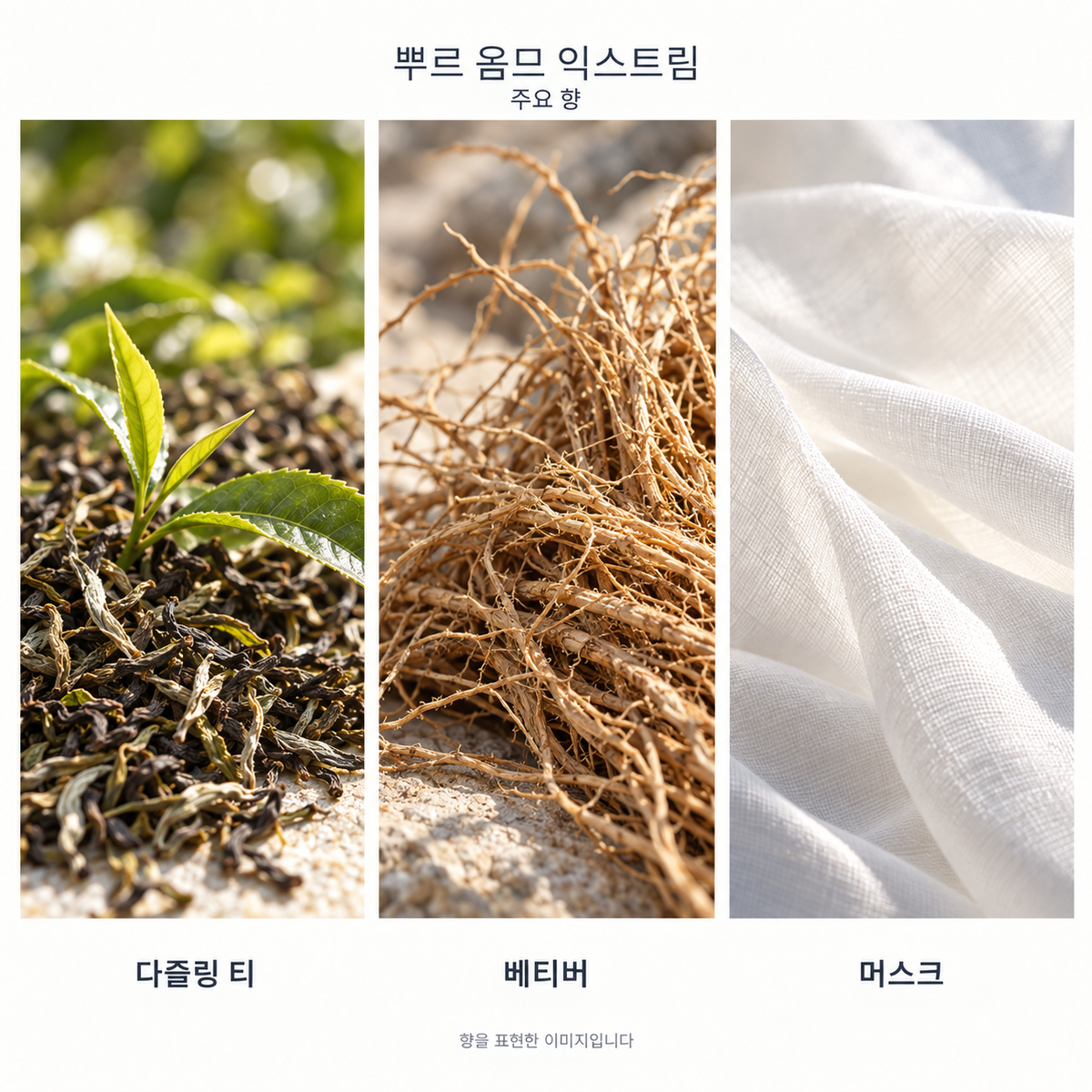 불가리 뿌르 옴므 익스트림 오 드 뚜왈렛 주요 향: 다즐링 티·베티버·머스크. 향을 표현한 이미지입니다.