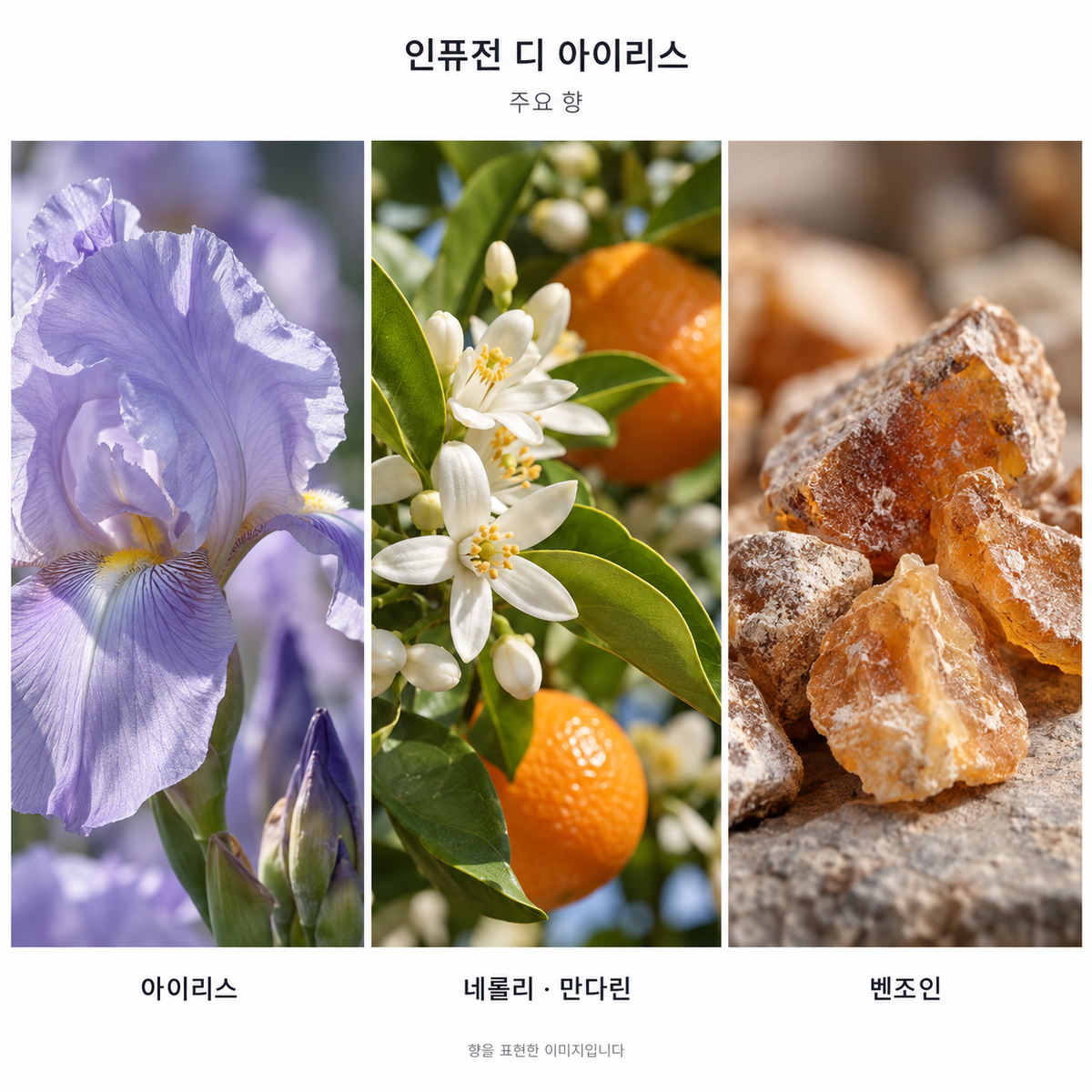 프라다 인퓨전 디 아이리스 주요 향: 아이리스·네롤리·만다린·벤조인. 향을 표현한 이미지입니다.