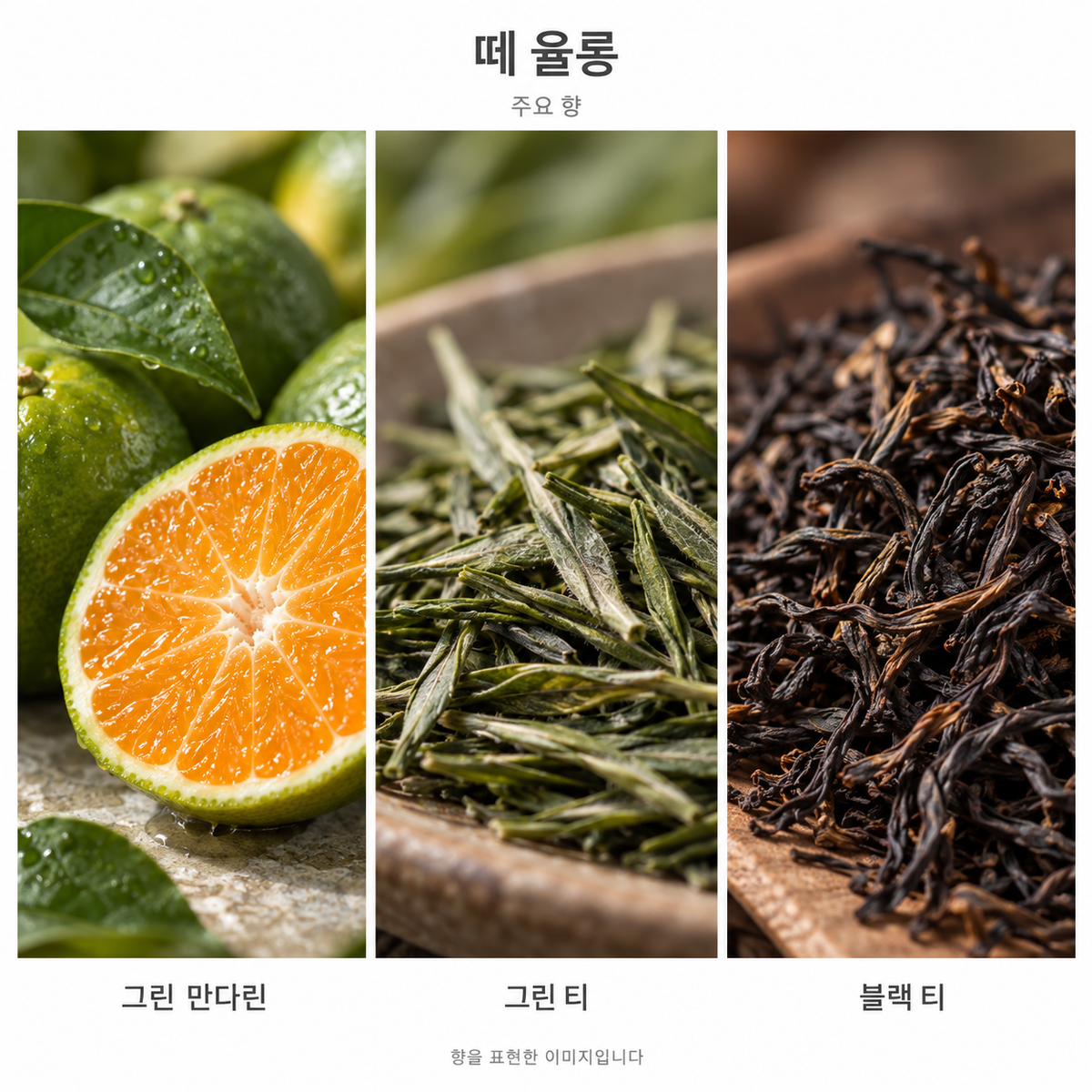 조르지오 아르마니 프리베 떼 율롱 주요 향: 그린 만다린·그린 티·블랙 티. 향을 표현한 이미지입니다.